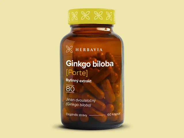 Ginkgo biloba / FORTE / Bylinný extrakt - 60 kapslí