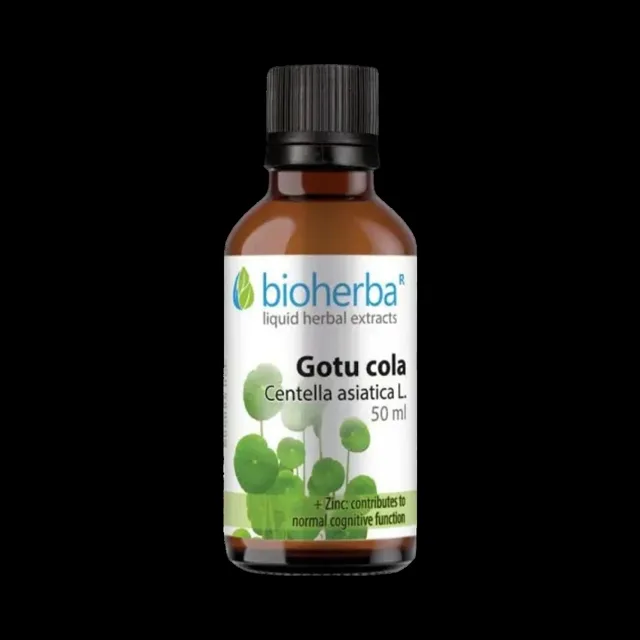 Gotu Kola kapky – tinktura – 50 ml – Bioherba