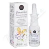 Gravedolen bylinný nosní sprej esenciál.oleje 30ml
