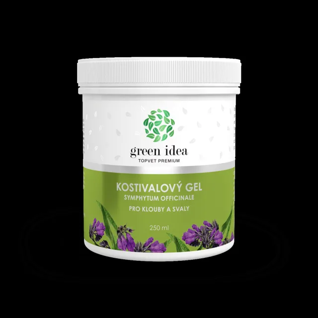 Green idea Kostivalový gel 250ml