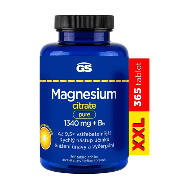 GS Magnesium citrate pure +XXL B6 365 tablet