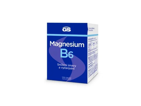 GS Magnesium + vitamin B6 100 tablet