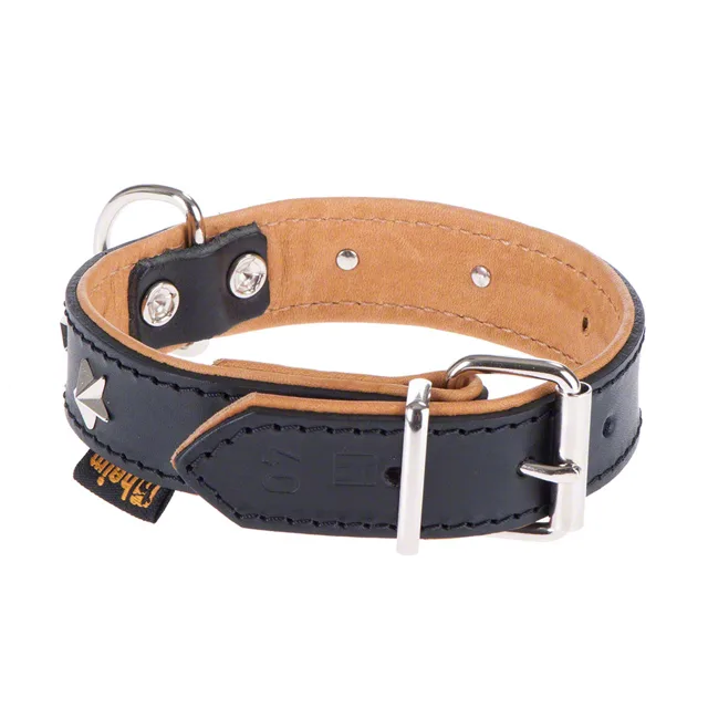 Heim kožený obojek Stars - Vel. 40: obvod krku 26 - 37 cm