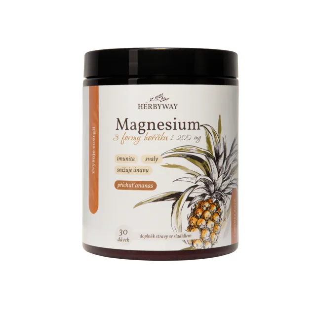 Herbyway Magnesium 3 formy hořčíku 1 200 mg 170 g ananas