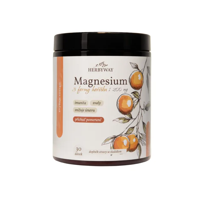 Herbyway Magnesium 3 formy hořčíku 1 200 mg 170 g pomeranč