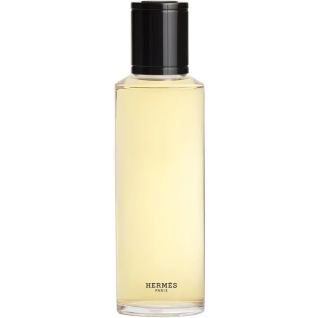 HERMÈS Terre d’Hermès parfém – náhradní náplň pro muže 125 ml