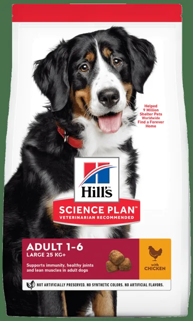 Hill´s Science Plan Canine Adult Large Breed Chicken 14kg