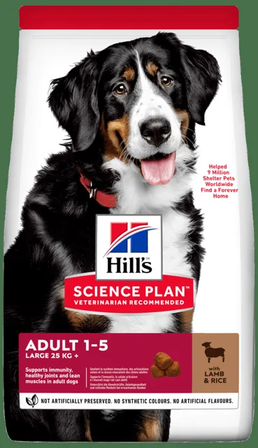 Hill´s Science Plan Canine Adult Large Breed Lamb & Rice 14kg