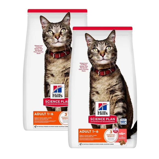 HILL'S Science Plan Feline Adult Salmon 2x10 kg suché krmivo s lososem pro dospělé kočky