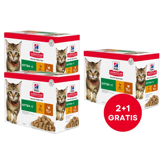 HILL'S Science Plan Feline Kitten Multipack Chicken &amp; Turkey 85 g x12 ks (2+1 ZDARMA)