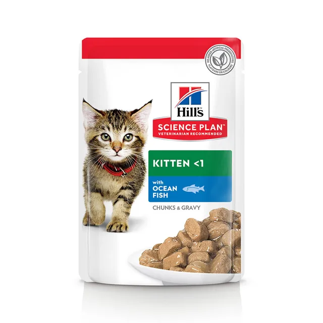 Hill's Science Plan Kitten - 12 x 85 g drůbeží výběr