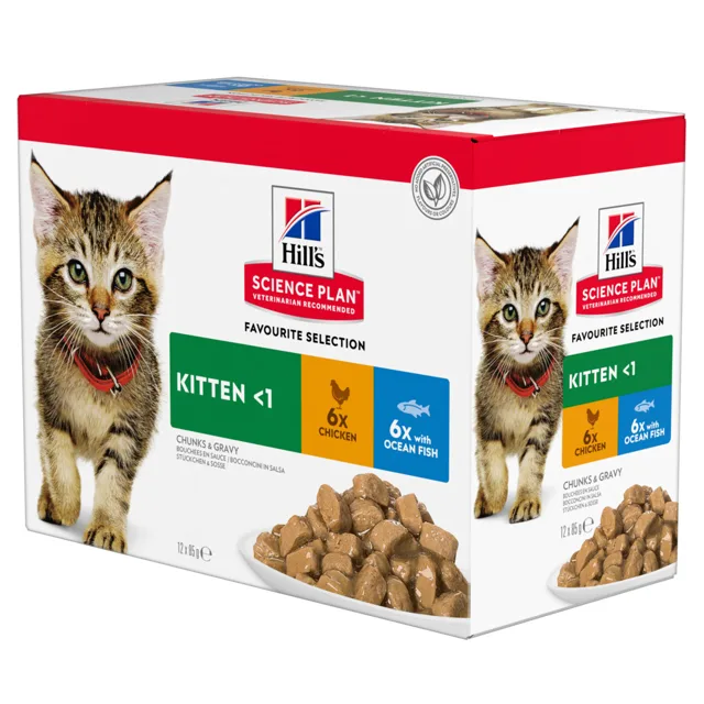 Hill's Science Plan Kitten - 48 x 85 g rybí výběr