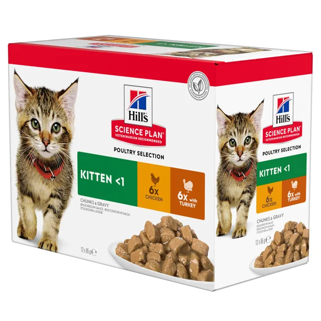 Hill's Science Plan Kitten - mořské ryby (12 x 85 g)