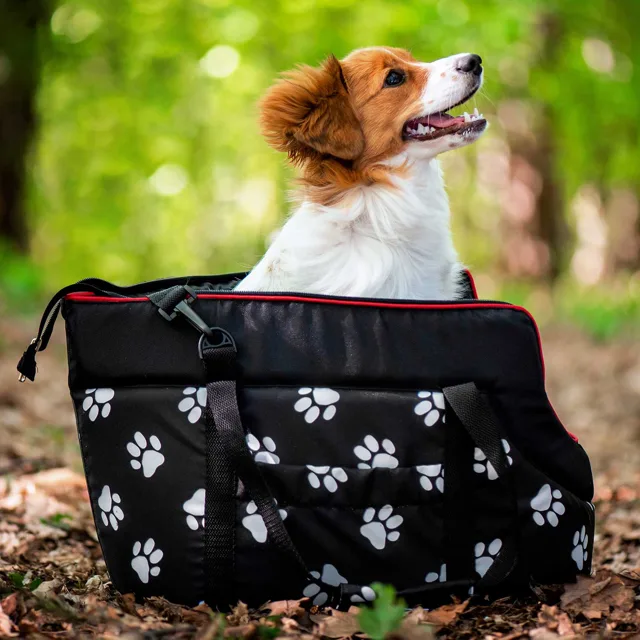 HobbyDog Nice černá taška pro psa tlapka Dle váhy psa: do 2 kg