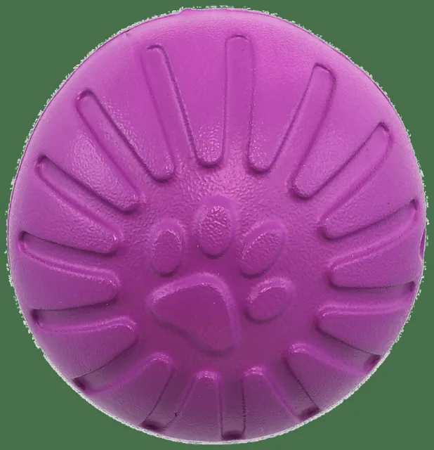 Hračka Dog Fantasy EVA míček fialový 9cm