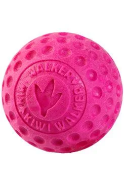 Hračka pes Ball Maxi plovoucí z TPR růžová Kiwi