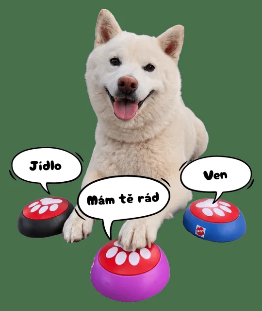 Hračka Spot Easy Talk interaktivní tlačítka 3 ks