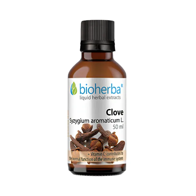 Hřebíček – tinktura kapky – 50 ml – Bioherba