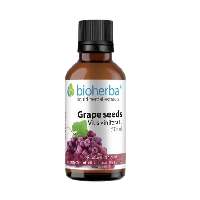 Hroznová jadérka – tinktura kapky – 50 ml – Bioherba