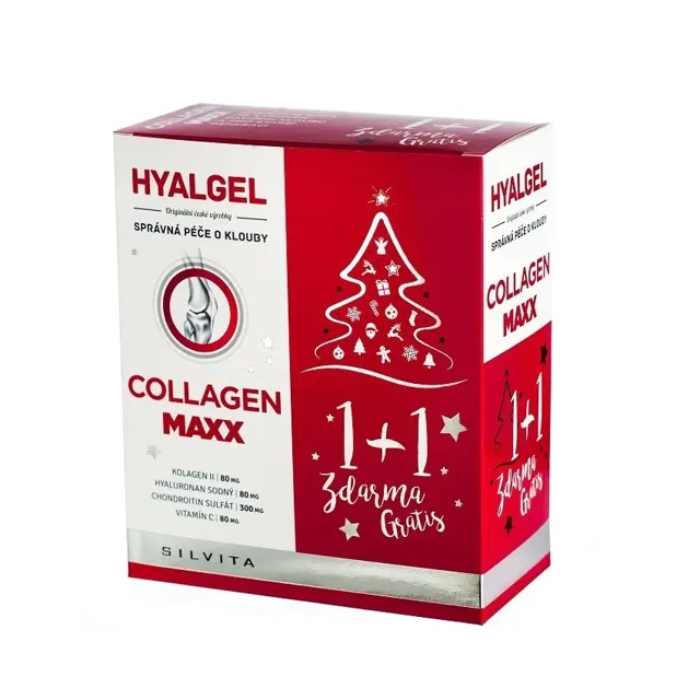 Hyalgel Collagen MAXX vánoční 2021 2 x 500 ml