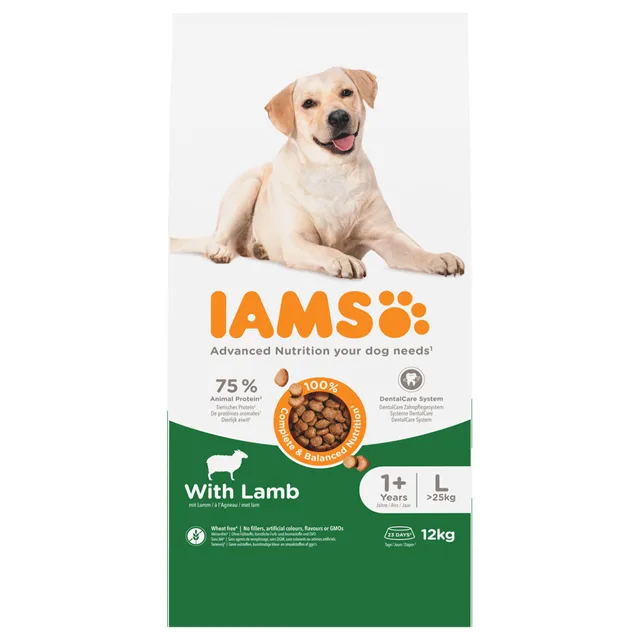 IAMS Advanced Nutrition Adult Large Dog s jehněčím - výhodné balení: 2 x 12 kg