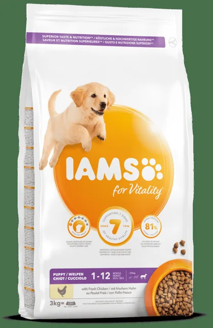 IAMS Dog Puppy Large Chicken 3kg