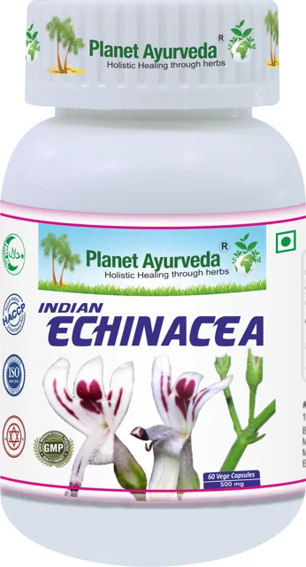 Indická Echinacea (Právenka latnatá) - 500 mg, 60 kapslí