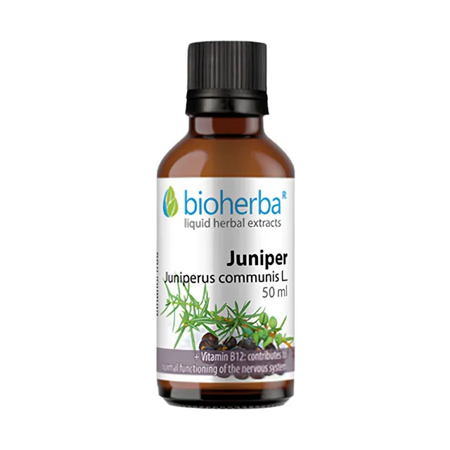 Jalovec – tinktura kapky – 50 ml – Bioherba