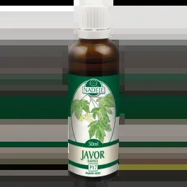 Javor Babyka (P17)