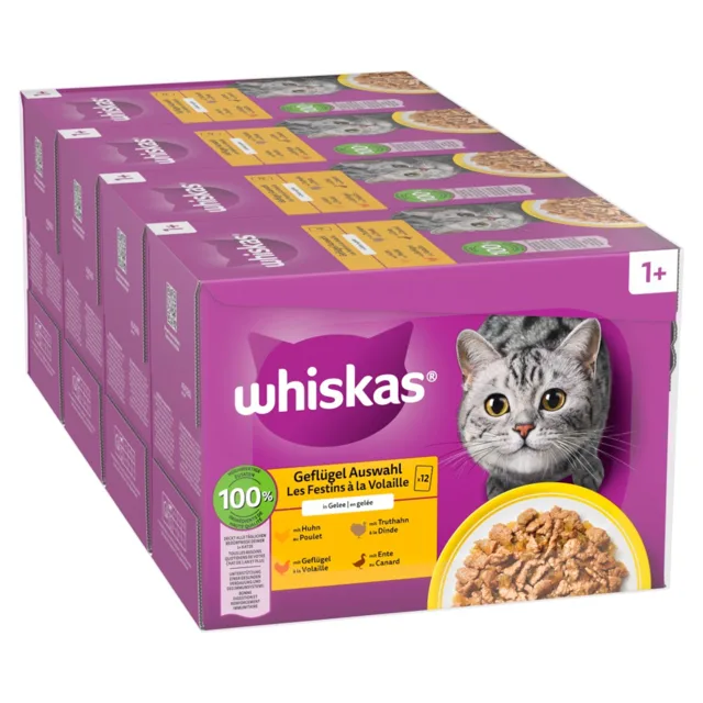 Jumbopack Whiskas 1+ Adult kapsičky 144 x 85 g - drůbeží výběr v želé (144 x 85 g)