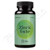 JZ Zinek forte cps. 90