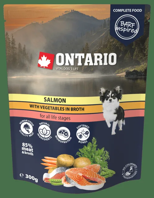Kapsička Ontario losos se zeleninou ve vývaru 300g