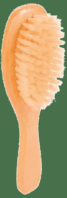 Kartáč pro psy Trixie jednostranný 5*18cm