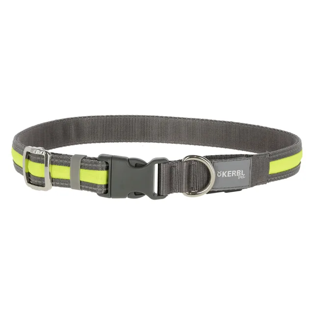 Kerbl Pet Light & Reflex svítící obojek - velikost M/L: obvod krku 45-65 cm, šířka 20 mm