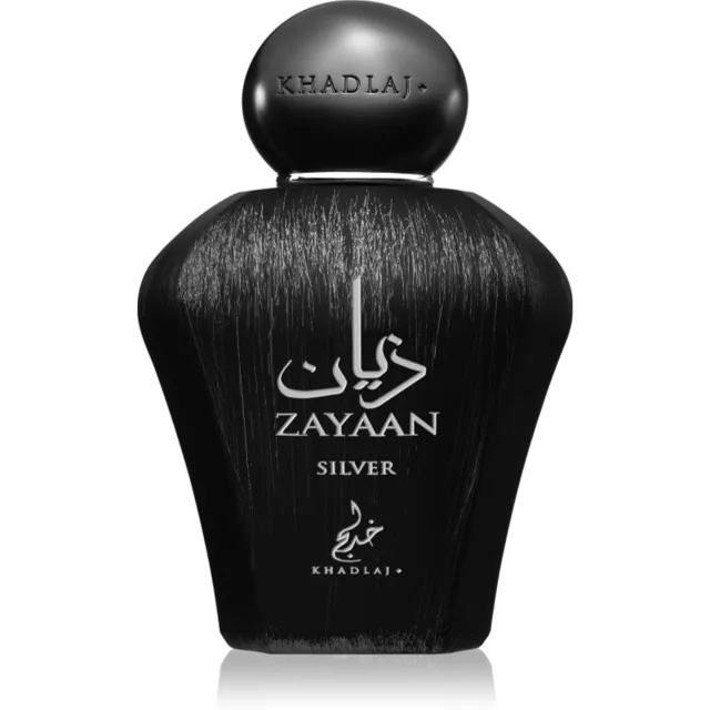 Khadlaj Zayaan Silver parfémovaná voda pro muže 100 ml