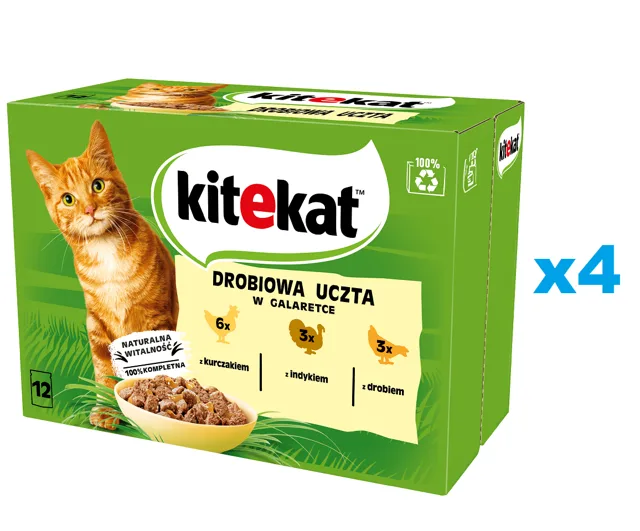 KITEKAT Drůbeží hody sáček 48x85 g kompletní krmivo pro dospělé kočky s kuřecím, krůtím a drůbežím masem v želé