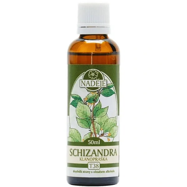Klanopraška čínská - schizandra chinensis (T38)