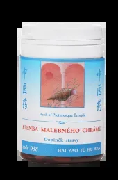 Klenba malebného chrámu (038)