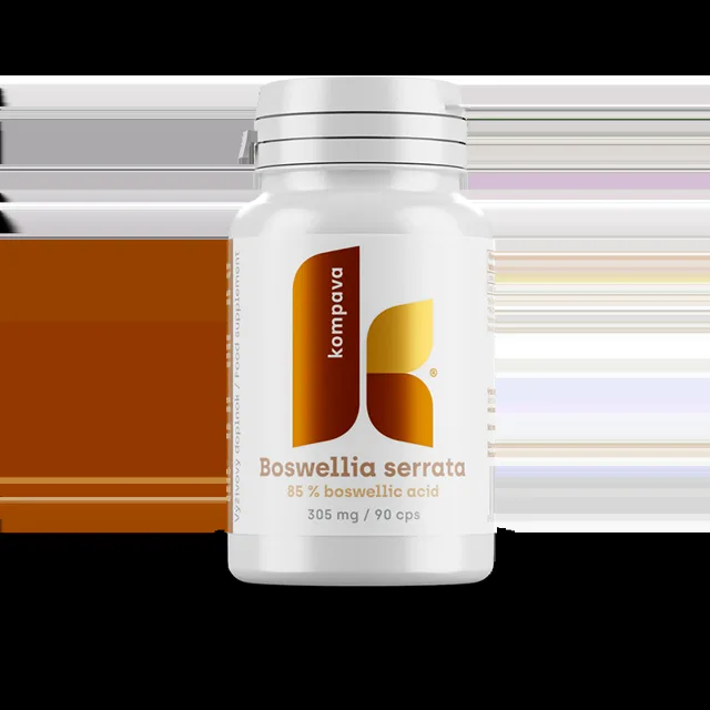 KOMPAVA Boswellia serrata 305 mg 90 kapslí