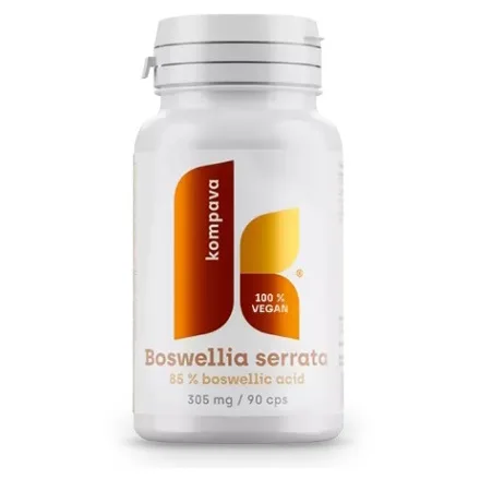 KOMPAVA Boswellia serrata 305 mg 90 kapslí