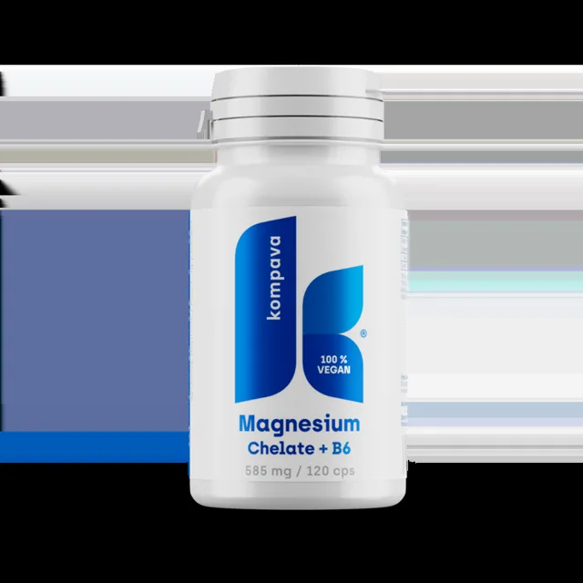 KOMPAVA Chelát hořčíku 585 mg/120 kapslí