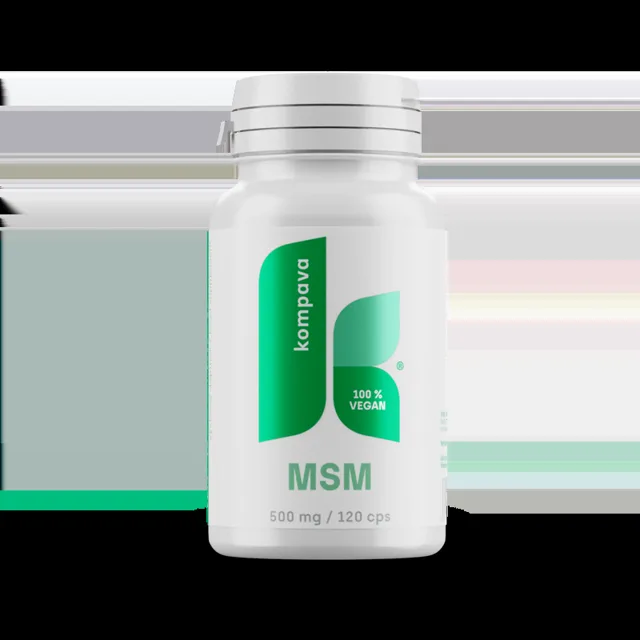 KOMPAVA MSM 500 mg/120 kapslí