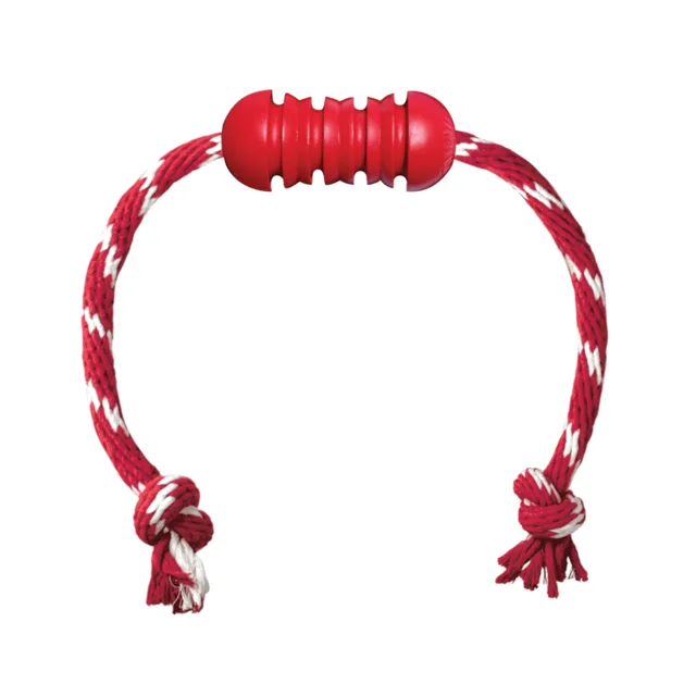 KONG Dental s lanem hračka pro psy  - velikost S: cca D 49 x Ø 3,7 cm 