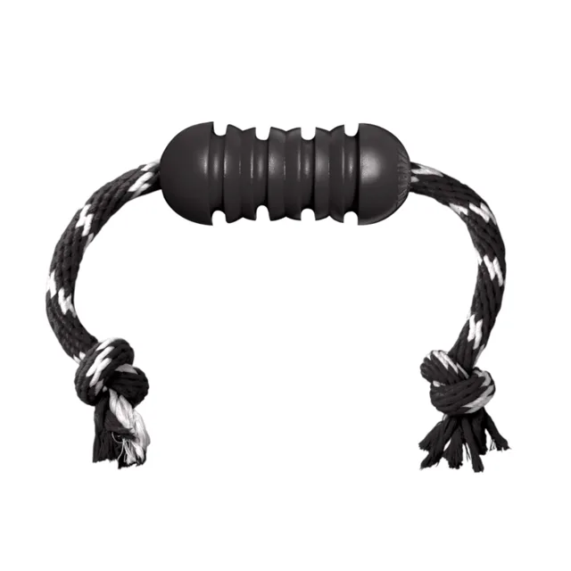 KONG Extreme Dental hračka pro psy s lanem - velikost M: cca D 46 x Ø 5 cm