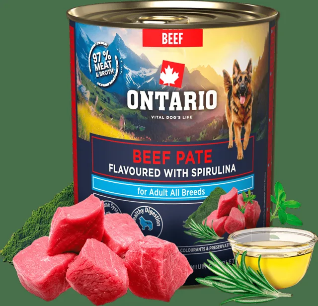 Konzerva Ontario Adult hovězí pate s příchutí spiruliny 800g