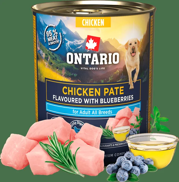 Konzerva Ontario Adult kuřecí pate s příchutí borůvek 800g