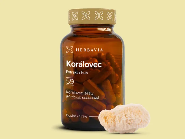 Korálovec  ježatý - extrakt - 60 kapslí