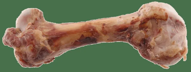 Kost Rasco šunková 287g