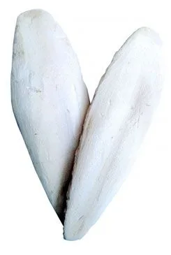 Kost sépiová 20cm ( /-3cm) 10ks