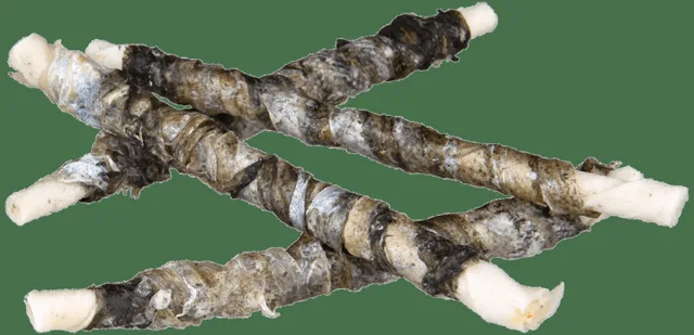 Kost žvýkací Denta Fun ryba 12cm, 10ks